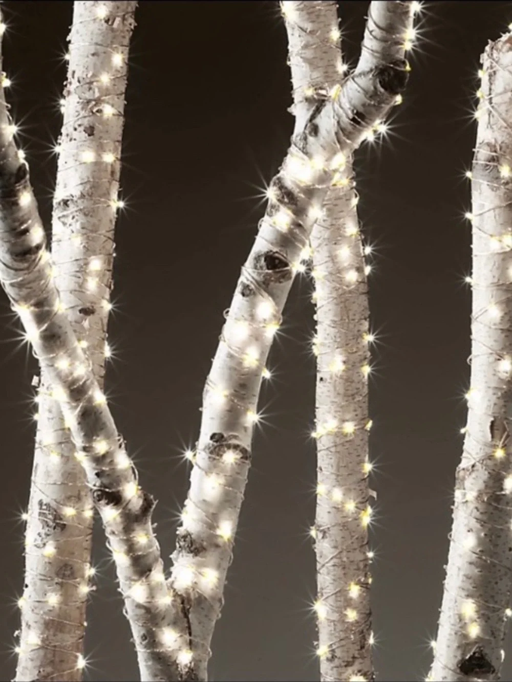 Restoration Hardware Starry String Lights Amber Light Coper Wire 10 ft